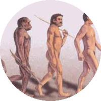 Représentation de l'évolution de l'Homme.