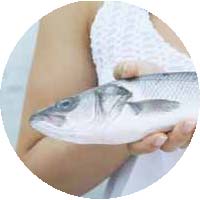 Personne tenant du poisson.